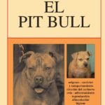 El Pit Bull