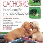Las primeras semanas del cachorro