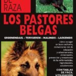 Los pastores belgas