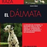 El dálmata