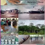 (re)cortes Na Floresta E (re)organização Territorial: Alternativas de Sobrevivência Pós-Ciclo Madeireiro no Marajó
