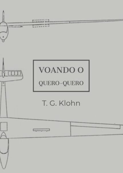 Voando O Quero-quero