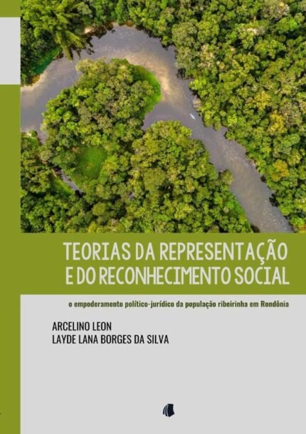 Teorias Da Representação E Do Reconhecimento Social: o empoderamento político-jurídico da população ribeirinha em Rondônia