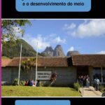 Pedagogia Da Alternância, Egressos Do Ceffa Rei Alberto I E O Desenvolvimento Do Meio