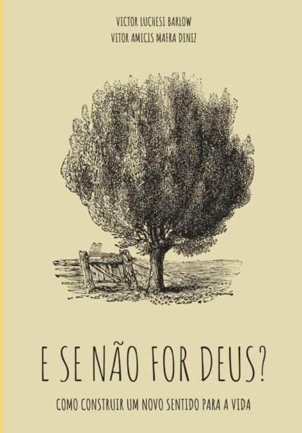 E Se Não For Deus?: Como construir um novo sentido para a vida