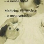Meus Bichos – A Minha Vida! Medicina Veterinária – O Meu Caminho!