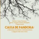 Caixa De Pandora: A literatura brasileira contemporânea e (alguns de) seus eixos
