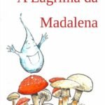A Lágrima Da Madalena