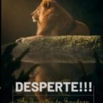 Desperte! As Sementes Da Grandeza Estão Em Você