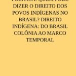 O Aldeamento Da Política: Quem Pode Dizer O Direito Dos Povos Indígenas No Brasil? Direito Indígena: Do Brasil Colônia Ao Marco Temporal