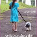 As Estripulias De Bertila E Bertoldo