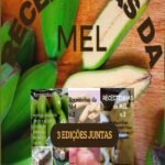 Receitinhas Da Mel: RECEITAS SAUDÁVEIS À BASE DE BIOMASSA DE BANANA VERDE