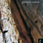 forastero de mí (y otros poemas reunidos)
