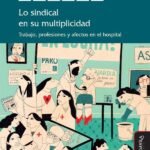 Lo sindical en su multiplicidad: Trabajo, profesiones y afectos en el hospital