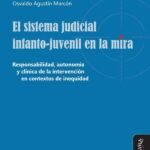El sistema judicial infanto-juvenil en la mira.: Responsabilidad, autonomía y clínica de la intervención en contextos de inequidad