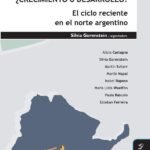 ¿Crecimiento o desarrollo? El ciclo reciente en el norte argentino