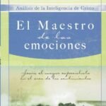 El Maestro de las emociones: Jesús, el mayor especialista en el área de los sentimientos
