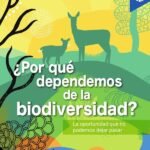 ¿Por qué dependemos de la biodiversidad?: La oportunidad que no podemos dejar pasar