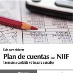 Guía para elaborar Plan de cuentas con NIIF, taxonomía contable vs tesauro contable