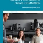 Estrategias de servicios: Calidad y orientación al cliente