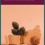 Entre el deseo de aprender y la pasión por la historia. Relatos en la universidad contemporánea