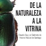 De la naturaleza a la vitrina: Claudio Gay y el Gabinete de Historia Natural de Santiago