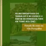 As Metamorfoses Do Trabalho E No Espaço A Partir Da Dendeicultura Em Tomé-açu (pa):: Estudo de caso na Vila Forquilha.
