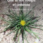 Que la flor rompa el cemento: El intento Bartimeo de Job