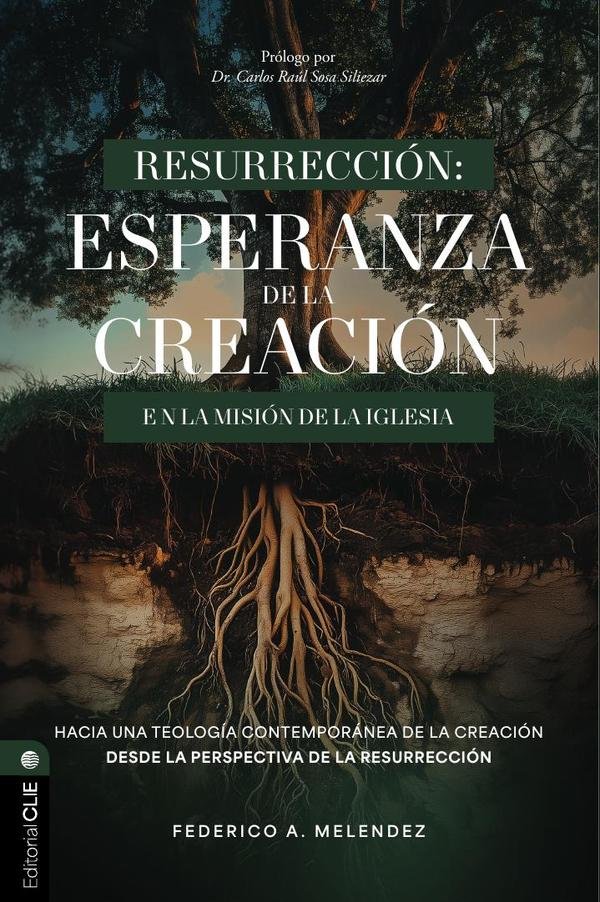 1300959_IMAGEN_TAPA_G_002 Resurrección. Esperanza de la creación en la misión de la iglesia: Hacia una teología contemporánea de la creación desde la perspectiva de la resurrección - Imagen 1