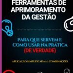 Ferramentas De Aprimoramento Da Gestão: Para que servem e como usar na prática (de verdade) : aplicação simplificada (+) combinações