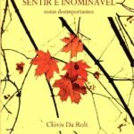 Sentir É Inominável: Notas desimportantes