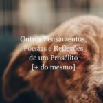 Serespapefico #4: Outros pensamentos, poesias e reflexões de um prosélito