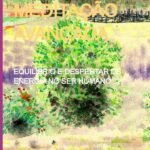 Energia Para Meditação Avançada: EQUILÍBRIO E DESPERTAR DE ENERGIA NO SER HUMANO