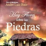 Hay Flores sobre las Piedras