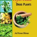 Ayurvedic Drug Plants