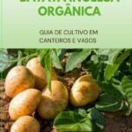 Batata Inglesa Orgânica: Guia de Cultivo em Canteiros e Vasos