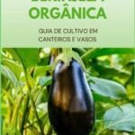Berinjela Orgânica: Guia de Cultivo em Canteiros e Vasos
