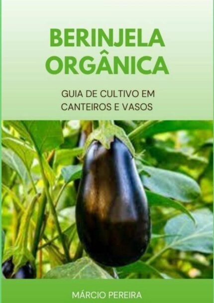 Berinjela Orgânica: Guia de Cultivo em Canteiros e Vasos