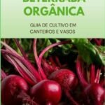 Beterraba Orgânica: Guia de Cultivo em Canteiros e Vasos