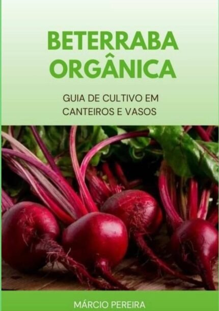 Beterraba Orgânica: Guia de Cultivo em Canteiros e Vasos