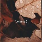 Nossos Dias!: Volume 2