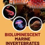 Bioluminescent Marine Invertebrates