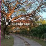 Alma De Poeta: Brincando com rimas