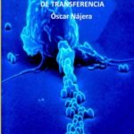Todo sobre los factores de transferencia
