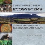 Twenty-First Century Ecosystems