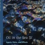 Oil in the Sea IV