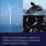 Potential Hydrodynamic Impacts of Offshore Wind Energy on Nantucket Shoals Regional Ecology