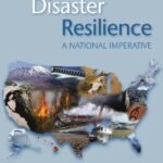 Disaster Resilience
