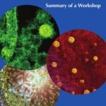 Potential Risks and Benefits of Gain-of-Function Research