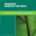 Bioinspired Chemistry for Energy